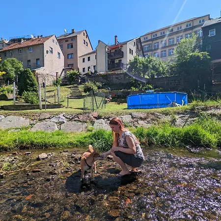 Uo - Urlaubsmagie - Helle Wohnung,sauna,whirlpool * Sebnitz